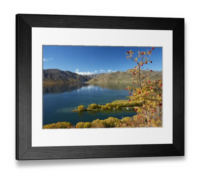 Framed Print : Rosehip berries and Sailors Cutting in autumn, Lake Benmore, Waitaki Valley, North Otago Framed Print : Rosehip berries and Sailors Cutting in autumn, Lake Benmore, Waitaki Valley, North Otago