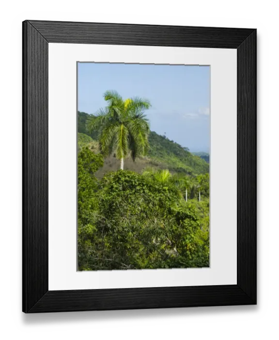 Framed Print : Cuba. Artemisa. Las Terrazas. UNESCO biosphere preserve and eco-community in