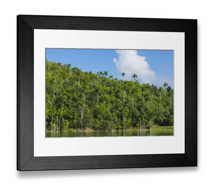 Framed Print : Cuba. Artemisa. Las Terrazas. UNESCO biosphere preserve and eco-community in Framed Print : Cuba. Artemisa. Las Terrazas. UNESCO biosphere preserve and eco-community in
