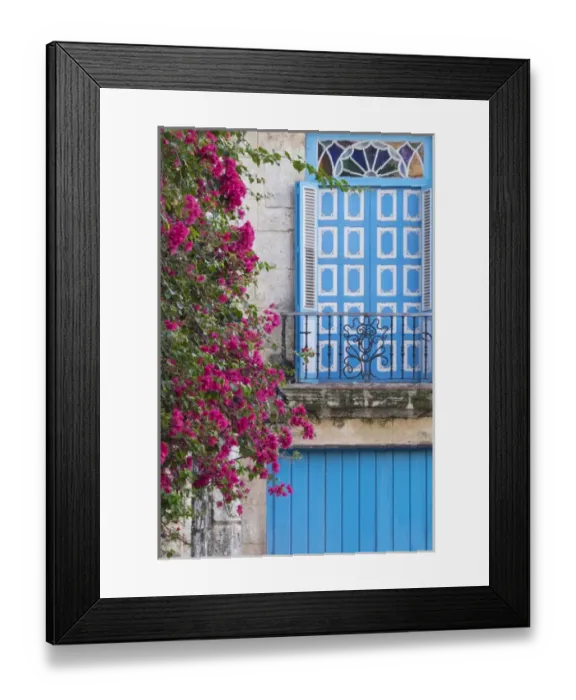 Framed Print : Cuba, Havana. Bougainvillea blooms near a balcony in the restored area of Old Town Framed Print : Cuba, Havana. Bougainvillea blooms near a balcony in the restored area of Old Town