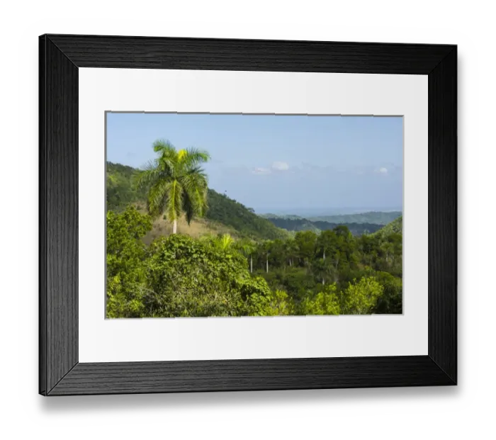 Framed Print : Cuba. Artemisa. Las Terrazas. UNESCO biosphere preserve and eco-community in Framed Print : Cuba. Artemisa. Las Terrazas. UNESCO biosphere preserve and eco-community in