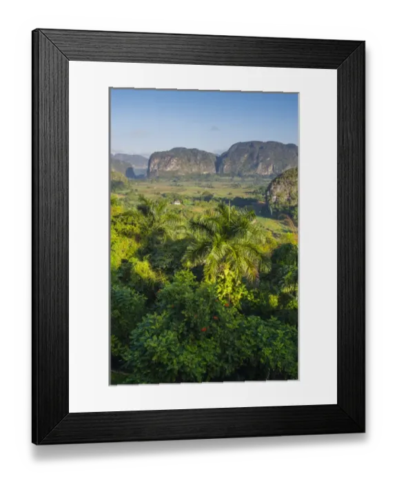 Framed Print : Cuba. Pinar del Rio. Vinales. The Vinales valley in the early morning Framed Print : Cuba. Pinar del Rio. Vinales. The Vinales valley in the early morning
