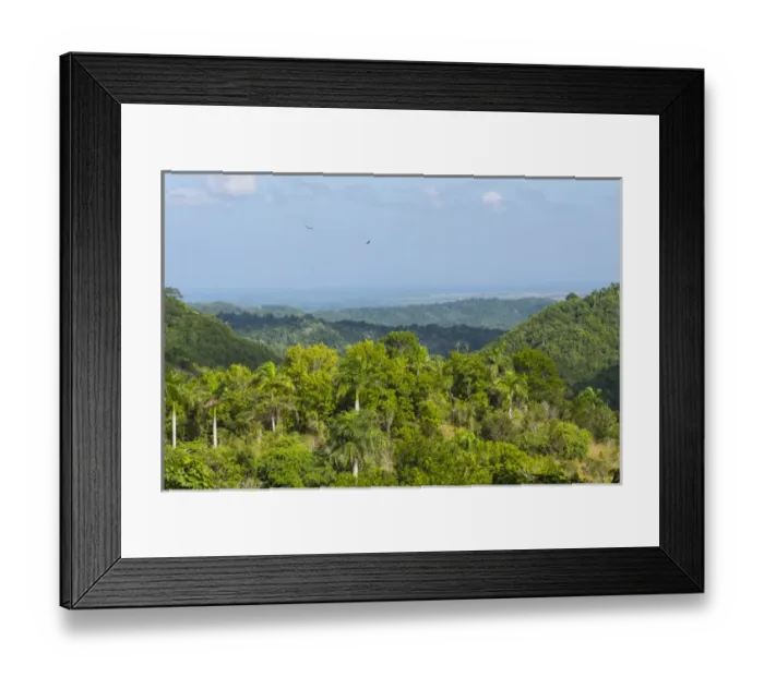 Framed Print : Cuba. Artemisa. Las Terrazas. UNESCO Biosphere Preserve and eco-community in