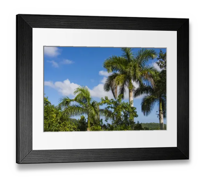 Framed Print : Cuba. Artemisa. Las Terrazas. UNESCO Biosphere Preserve and eco-community in Framed Print : Cuba. Artemisa. Las Terrazas. UNESCO Biosphere Preserve and eco-community in