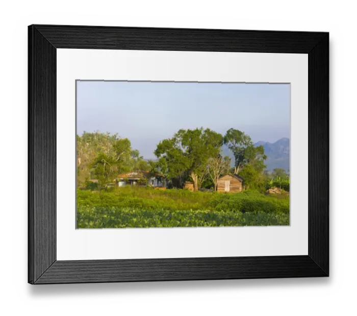 Framed Print : Limestone hill, farming land and village house, Vinales Valley, UNESCO World Heritage site Framed Print : Limestone hill, farming land and village house, Vinales Valley, UNESCO World Heritage site