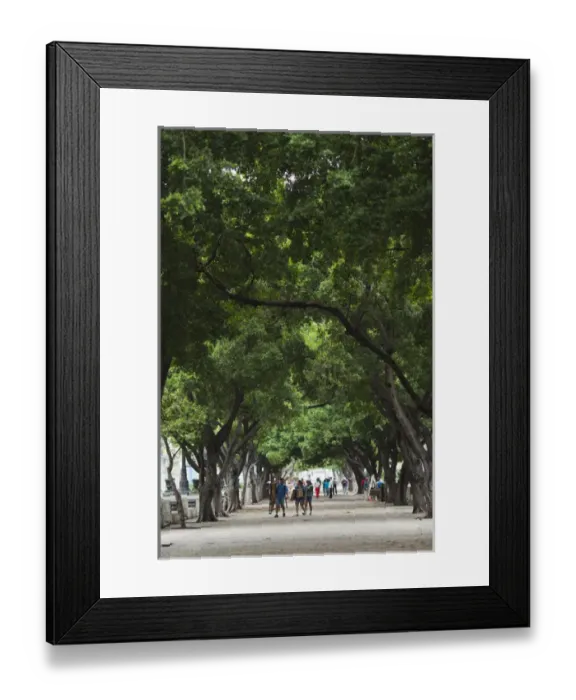 Framed Print : Cuba, Havana, Havana Vieja, Paseo de Marti walkway Framed Print : Cuba, Havana, Havana Vieja, Paseo de Marti walkway