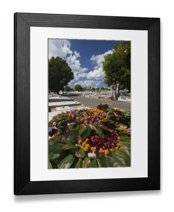 Framed Print : Cuba, Havana, Vedado, Necropolis Cristobal Colon cemetery Framed Print : Cuba, Havana, Vedado, Necropolis Cristobal Colon cemetery