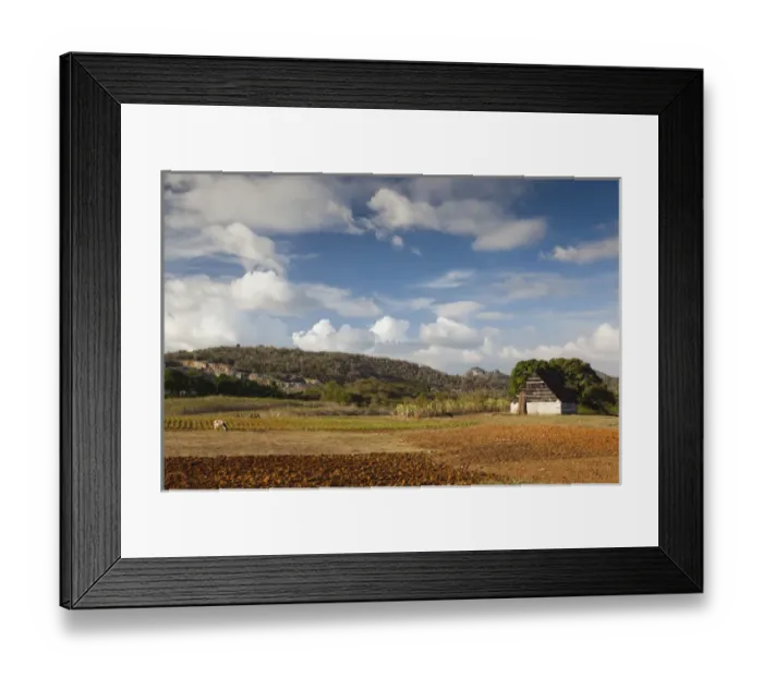Framed Print : Cuba, Pinar del Rio Province, Vinales, Vinales Valley, valley farm Framed Print : Cuba, Pinar del Rio Province, Vinales, Vinales Valley, valley farm