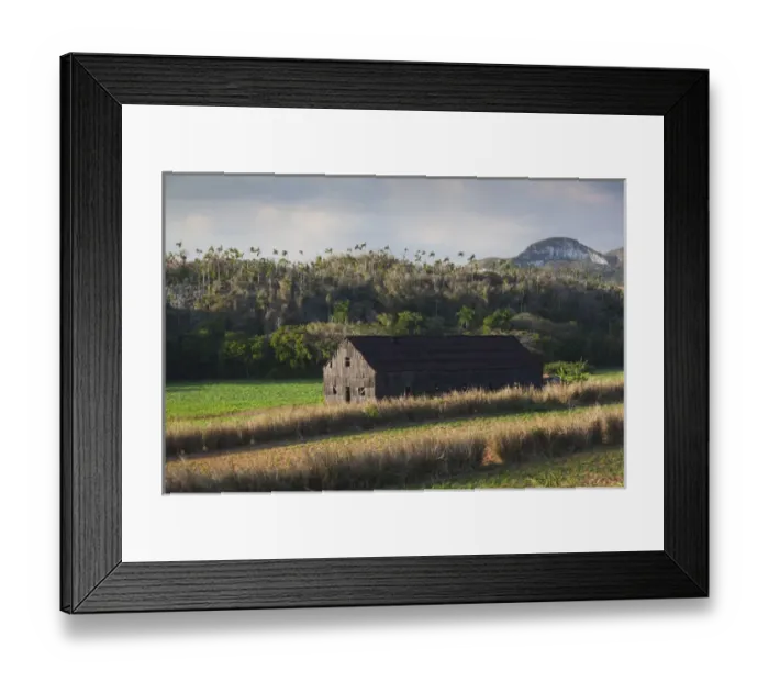 Framed Print : Cuba, Pinar del Rio Province, Vinales, Vinales Valley, valley farm Framed Print : Cuba, Pinar del Rio Province, Vinales, Vinales Valley, valley farm