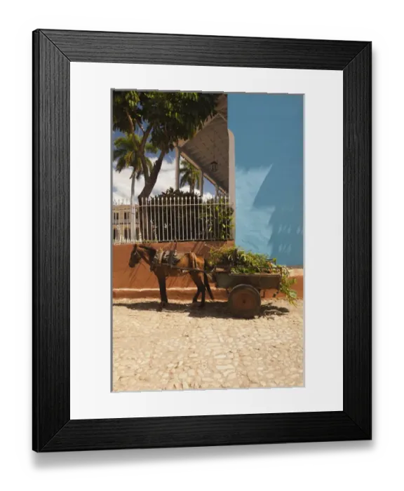 Framed Print : Cuba, Sancti Spiritus Province, Trinidad, Plaza Mayor, horse and wagon Framed Print : Cuba, Sancti Spiritus Province, Trinidad, Plaza Mayor, horse and wagon