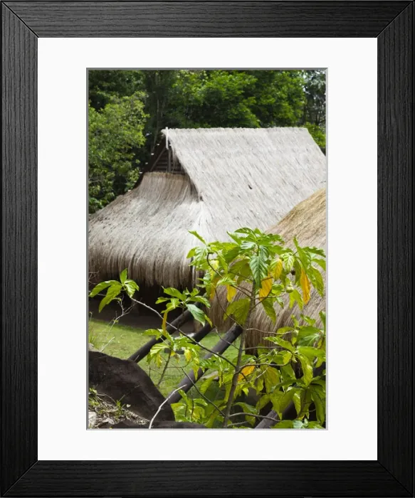 Framed Print : Dominica, Kalinago Barana Aute, Carib Heritage Village, thatched roof of traditional