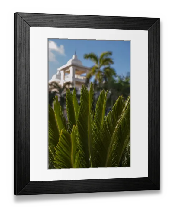 Framed Print : Dominican Republic, Punta Cana, Higuey, Bavaro, Riu Palace, rooftop terrace, palm tree