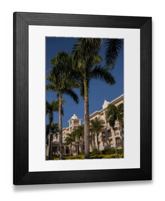 Framed Print : Dominican Republic, Punta Cana, Higuey, Bavaro, Riu Palace, palm tree Framed Print : Dominican Republic, Punta Cana, Higuey, Bavaro, Riu Palace, palm tree