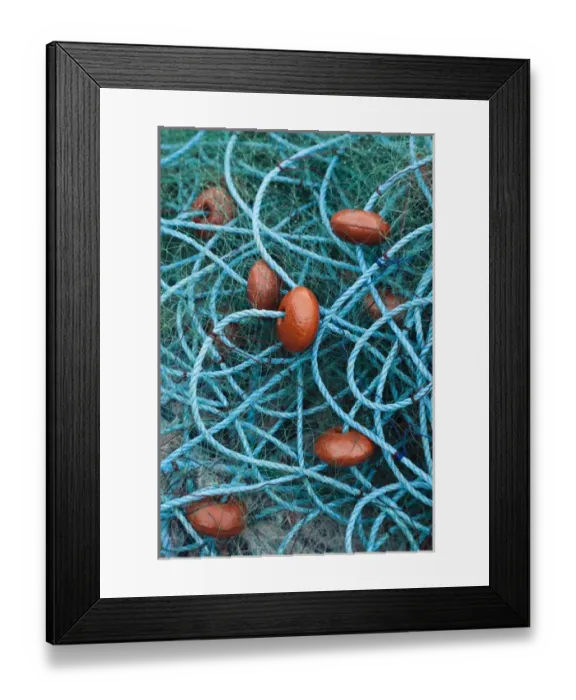 Framed Print : Dominica, Anse de Mai, fishing net