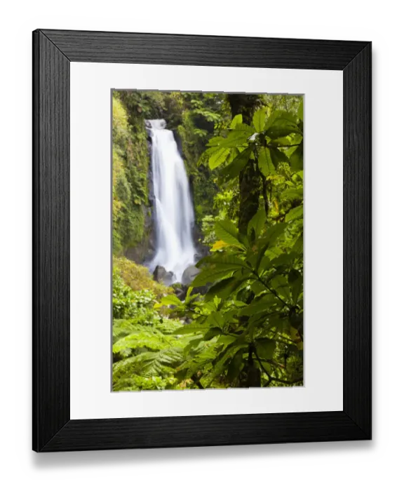 Framed Print : Dominica, Roseau, Roseau Valley, Trafalgar Falls Framed Print : Dominica, Roseau, Roseau Valley, Trafalgar Falls