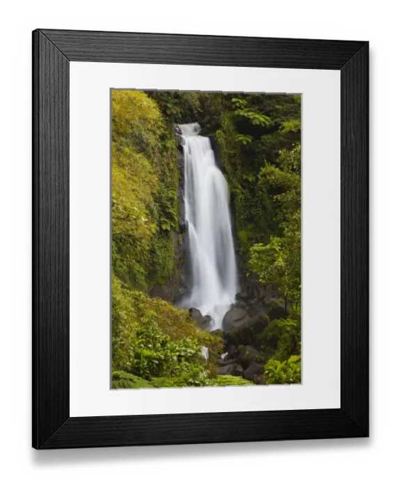Framed Print : Dominica, Roseau, Roseau Valley, Trafalgar Falls Framed Print : Dominica, Roseau, Roseau Valley, Trafalgar Falls