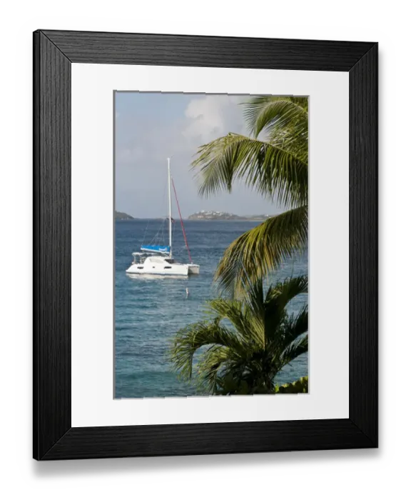 Framed Print : USA, USVI, St John. Catamaran moored in Cruz Bay