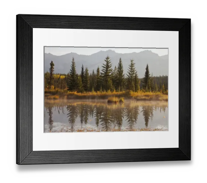 Framed Print : Canada, Alberta, Jasper National Park. Scenic of Cottonwood Slough Framed Print : Canada, Alberta, Jasper National Park. Scenic of Cottonwood Slough