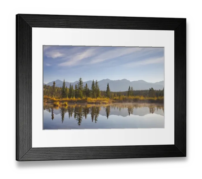 Framed Print : Canada, Alberta, Jasper National Park. Scenic of Cottonwood Slough Framed Print : Canada, Alberta, Jasper National Park. Scenic of Cottonwood Slough