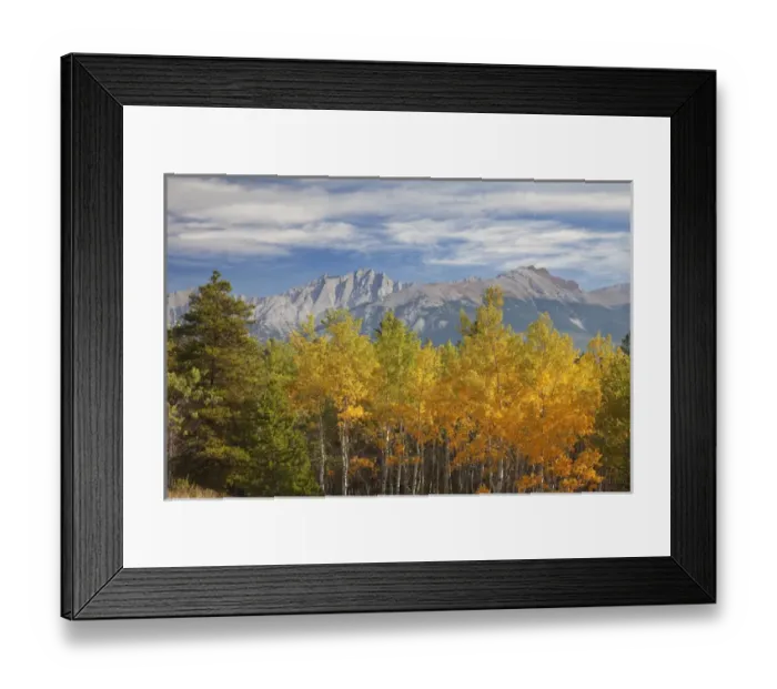 Framed Print : Canada, Alberta, Jasper National Park. Autumn landscape seen from Cottonwood Slough