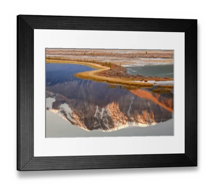 Framed Print : Canada, Alberta, Jasper National Park. Mount Kitchener reflected in Sunwapta River