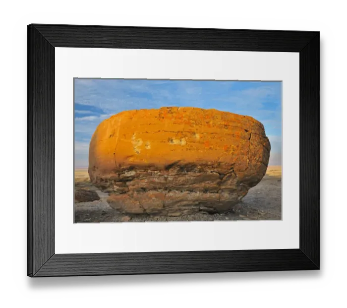 Framed Print : Canada, Alberta, Red Rock Coulee Natural Preserve. Round sandstone concretion. Credit as Framed Print : Canada, Alberta, Red Rock Coulee Natural Preserve. Round sandstone concretion. Credit as