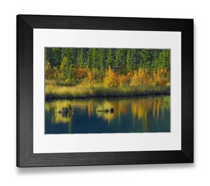 Framed Print : Canada, Alberta, Banff National Park. Autumn reflection in Vermillion Lake. Credit as Framed Print : Canada, Alberta, Banff National Park. Autumn reflection in Vermillion Lake. Credit as