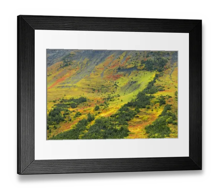 Framed Print : Canada, Alberta, Kananaskis Country. Autumn in the Canadian Rocky Mountains. Credit as Framed Print : Canada, Alberta, Kananaskis Country. Autumn in the Canadian Rocky Mountains. Credit as