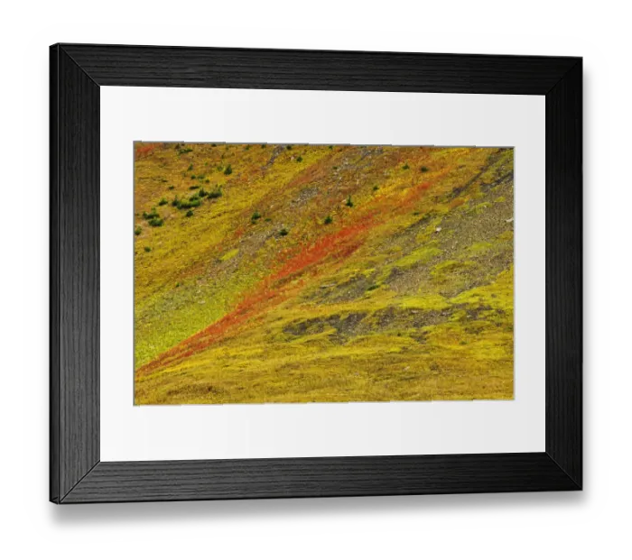 Framed Print : Canada, Alberta, Kananaskis Country. Autumn in the Canadian Rocky Mountains. Credit as