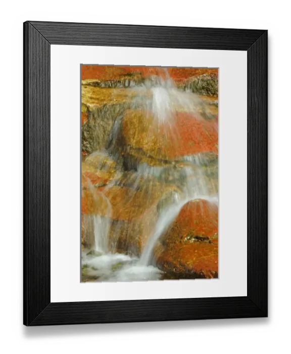 Framed Print : Canada, Alberta, Waterton Lakes National Park Framed Print : Canada, Alberta, Waterton Lakes National Park