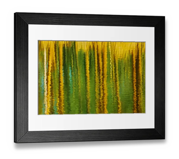 Framed Print : Canada, Alberta, Elk Island National Park. Aspen trees reflected in a pond. Credit as Framed Print : Canada, Alberta, Elk Island National Park. Aspen trees reflected in a pond. Credit as