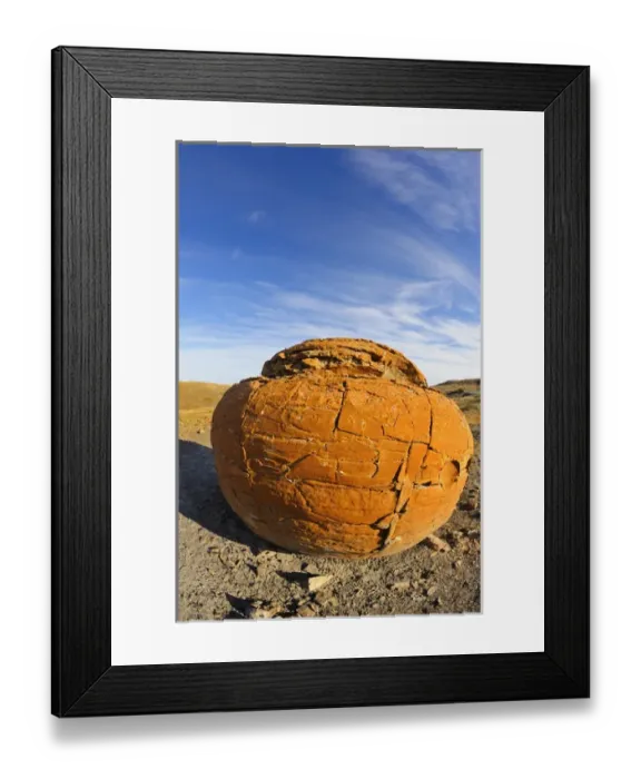 Framed Print : Canada, Alberta, Red Rock Coulee Natural Preserve. Round sandstone concretion. Credit as Framed Print : Canada, Alberta, Red Rock Coulee Natural Preserve. Round sandstone concretion. Credit as