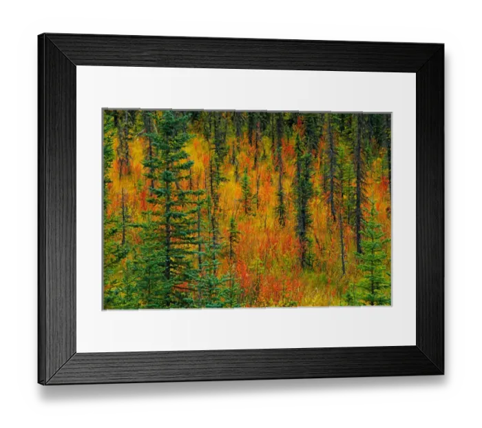 Framed Print : Canada, Alberta. Autumn in a meadow. Credit as: Mike Grandmaison / Jaynes Gallery / DanitaDelimont Framed Print : Canada, Alberta. Autumn in a meadow. Credit as: Mike Grandmaison / Jaynes Gallery / DanitaDelimont