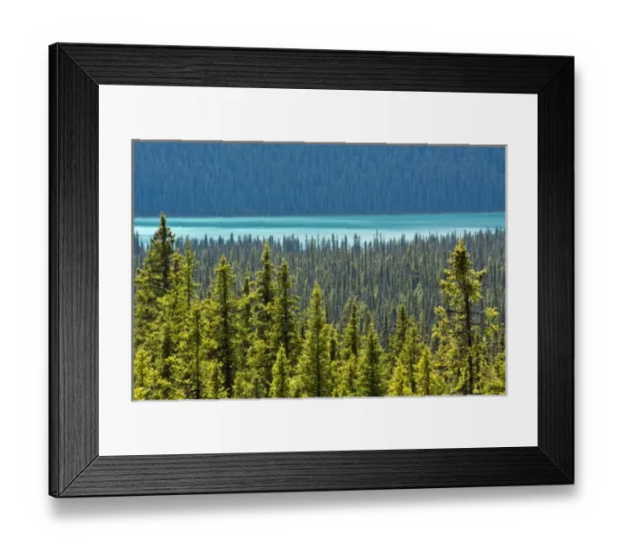 Framed Print : Hector Lake, Banff National Park, Alberta, Canada