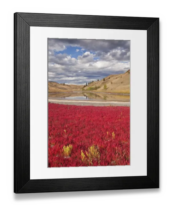 Framed Print : Canada, British Columbia, Kamloops, Lac Du Bois Grasslands Park. Landscape of small lake Framed Print : Canada, British Columbia, Kamloops, Lac Du Bois Grasslands Park. Landscape of small lake