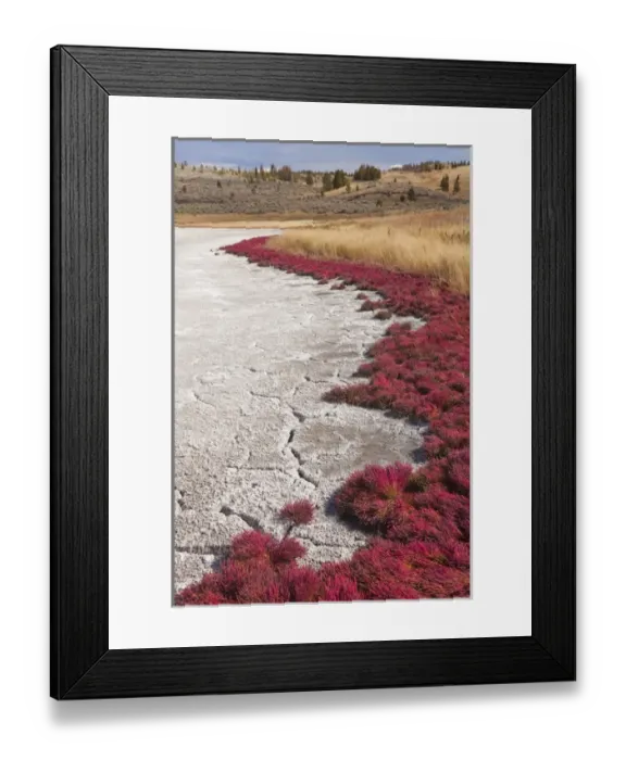 Framed Print : Canada, British Columbia, Kamloops, Lac Du Bois Grasslands Park. Scenic of grasses Framed Print : Canada, British Columbia, Kamloops, Lac Du Bois Grasslands Park. Scenic of grasses