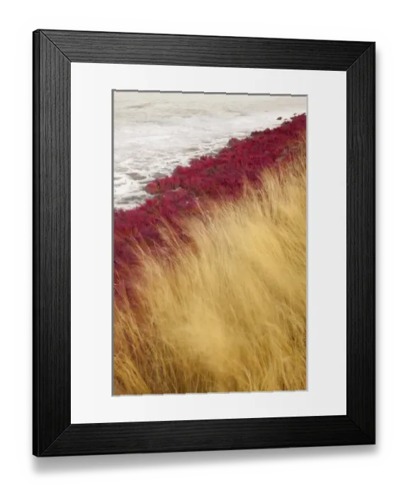 Framed Print : Canada, British Columbia, Kamloops, Lac Du Bois Grasslands Park. Scenic of grasses Framed Print : Canada, British Columbia, Kamloops, Lac Du Bois Grasslands Park. Scenic of grasses