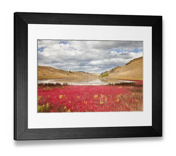 Framed Print : Canada, British Columbia, Kamloops, Lac Du Bois Grasslands Park. Landscape of small lake Framed Print : Canada, British Columbia, Kamloops, Lac Du Bois Grasslands Park. Landscape of small lake