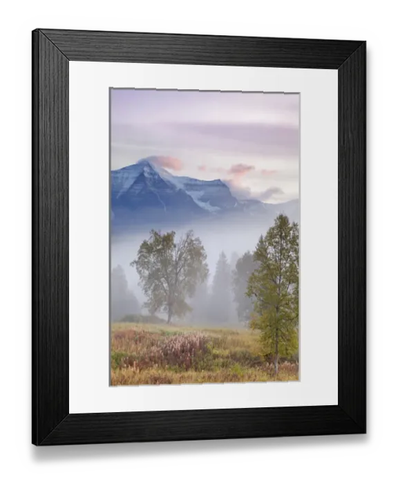 Framed Print : Canada, British Columbia, Mount Robson Provincial Park. Foggy sunrise on mountain landscape Framed Print : Canada, British Columbia, Mount Robson Provincial Park. Foggy sunrise on mountain landscape