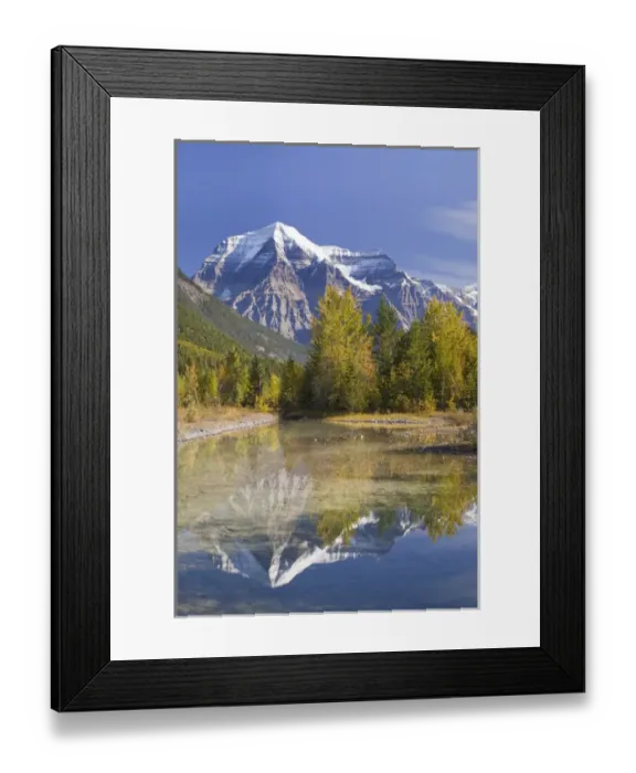 Framed Print : Canada, British Columbia, Mount Robson Provincial Park. Reflection of scenery in pond Framed Print : Canada, British Columbia, Mount Robson Provincial Park. Reflection of scenery in pond
