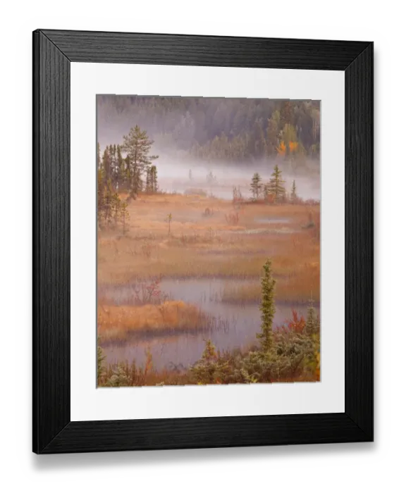 Framed Print : Canada, British Columbia, Mount Robson Provincial Park. Scenic of wetlands in autumn color Framed Print : Canada, British Columbia, Mount Robson Provincial Park. Scenic of wetlands in autumn color