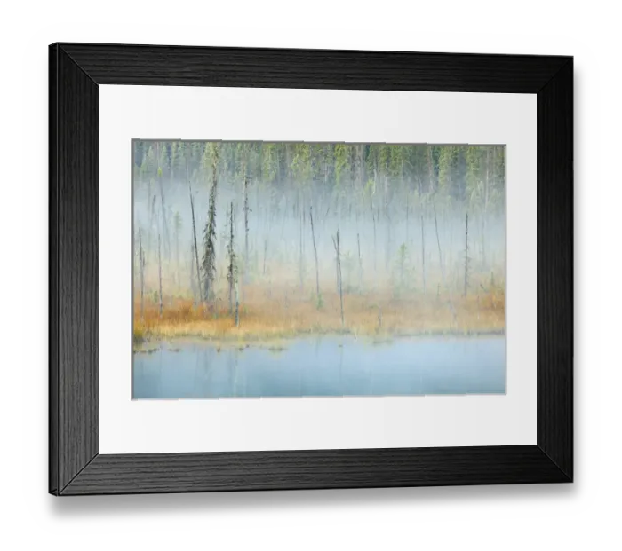 Framed Print : Canada, British Columbia, Mount Robson Provincial Park. Scenic of foggy pond and forest Framed Print : Canada, British Columbia, Mount Robson Provincial Park. Scenic of foggy pond and forest