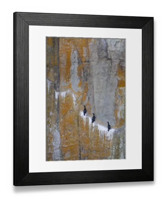 Framed Print : Canada, British Columbia, Gabriola Island Framed Print : Canada, British Columbia, Gabriola Island