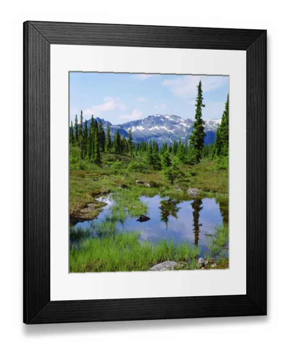 Framed Print : Canada; British Columbia; A tarn in the backcountry of Vancouver Island Framed Print : Canada; British Columbia; A tarn in the backcountry of Vancouver Island