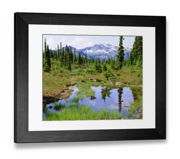 Framed Print : Canada; British Columbia; A tarn in the backcountry of Vancouver Island