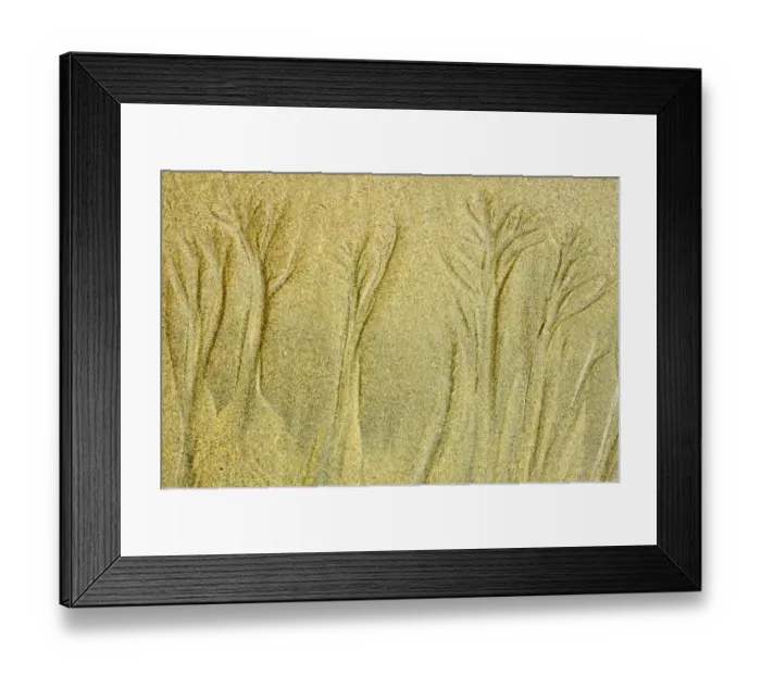 Framed Print : Canada, British Columbia, Pacific Rim National Park. Sand patterns on Pacific Ocean beach Framed Print : Canada, British Columbia, Pacific Rim National Park. Sand patterns on Pacific Ocean beach