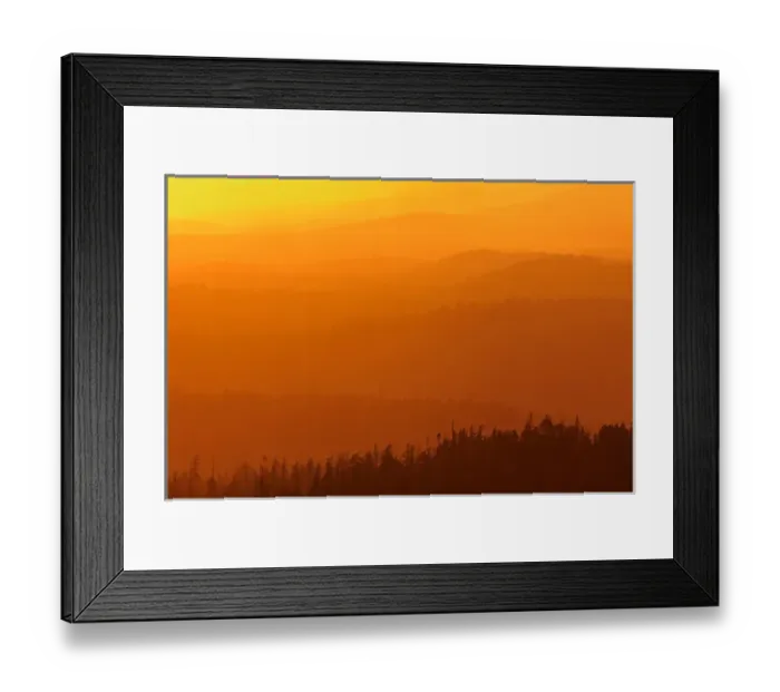 Framed Print : Canada, British Columbia, Carmanah-Walbran Provincial Park