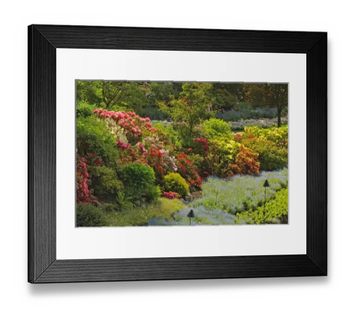 Framed Print : Canada, British Columbia, Vancouver Island. Scenic of world-famous Butchart Gardens