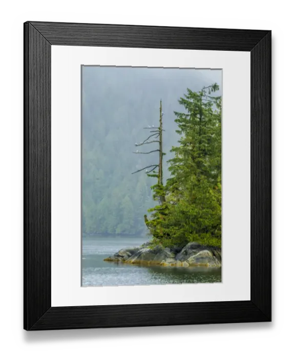 Framed Print : Canada, British Columbia. Inside Passage scenic Framed Print : Canada, British Columbia. Inside Passage scenic