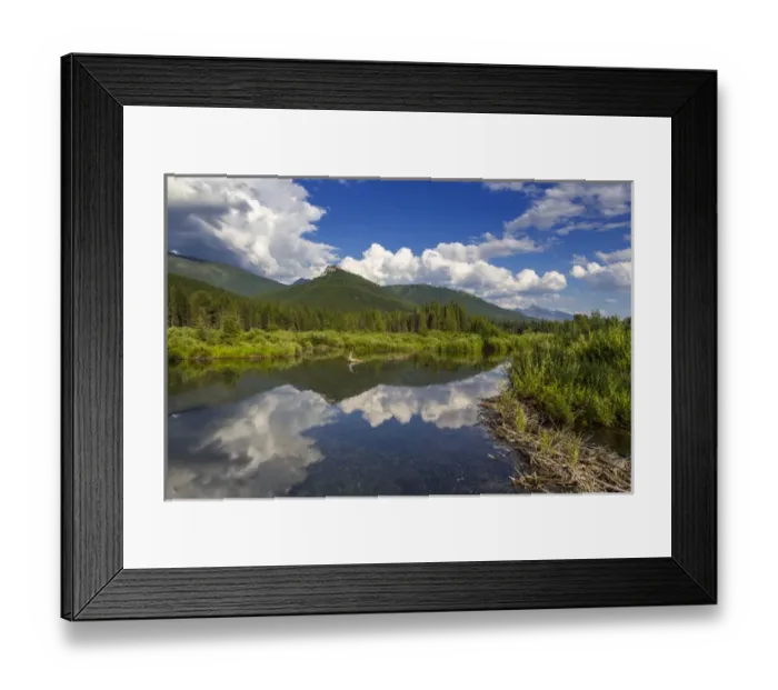 Framed Print : Beaver pond along the Flathead River near Fernie, British Columbia, Canada Framed Print : Beaver pond along the Flathead River near Fernie, British Columbia, Canada